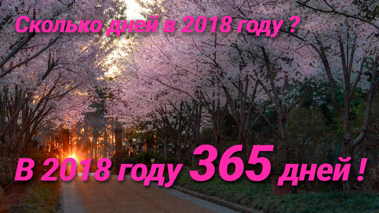 Сколько дней в 2018 году