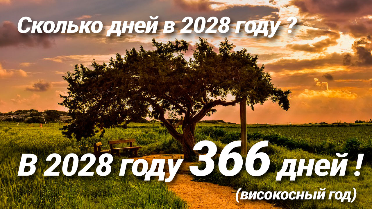Сколько дней в 2028 году