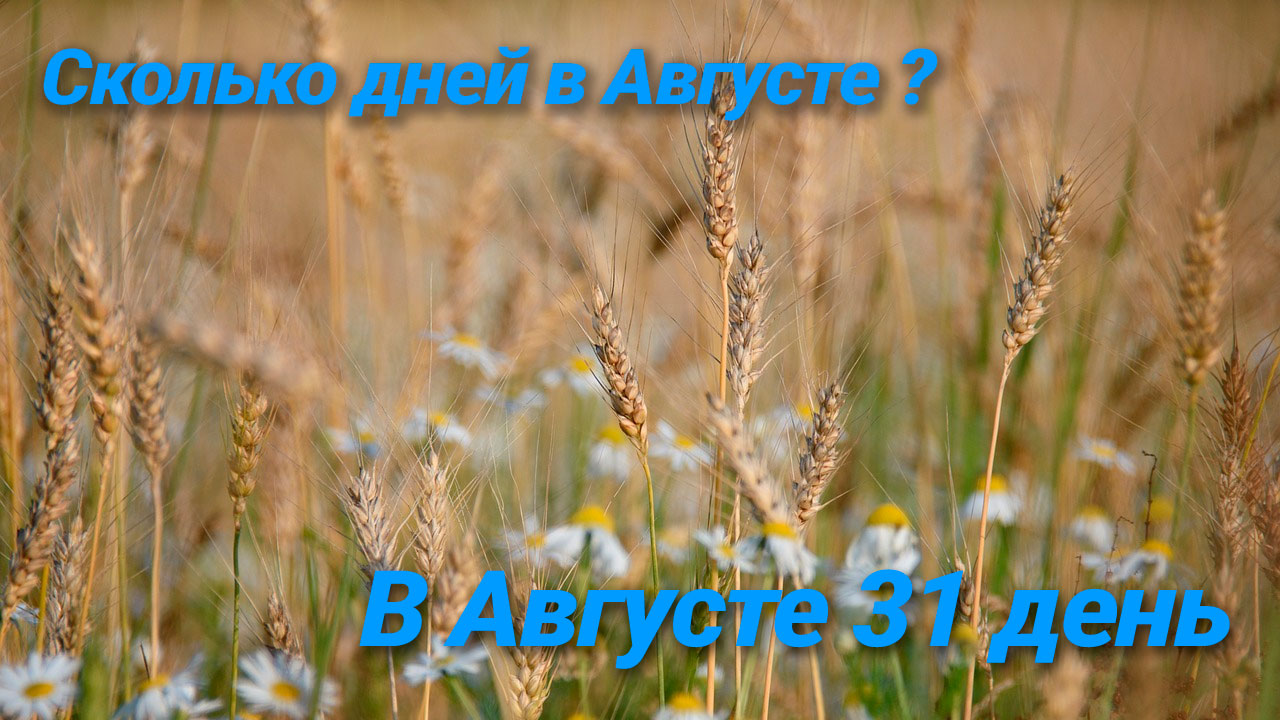 Сколько дней в Августе году