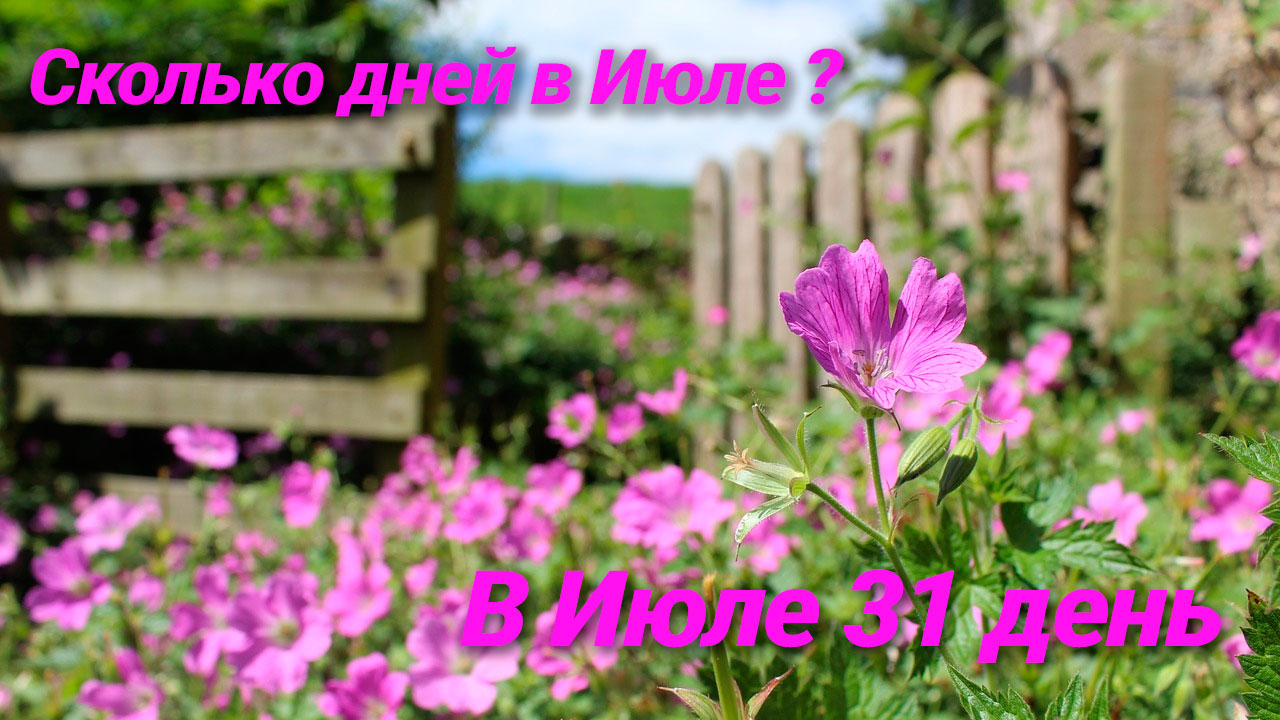 Сколько дней в Июле году