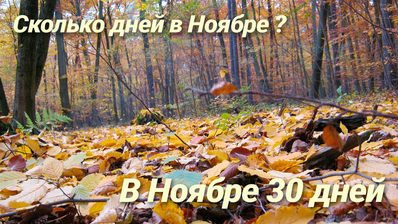Сколько дней в Ноябре году